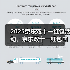 2025京东双十一红包活动，京东双十一红包口令【有惊喜228 - 辰飞雨新媒体情报驿站