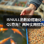 ISNULL函数如何简化SQL查询?两种实用技巧解析(图3) ISNULL函数如何简化SQL查询?两种实用技巧解析(图3)