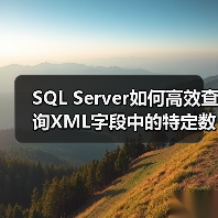 SQL Server如何高效查询XML字段中的特定数据？ - 辰飞雨新媒体情报驿站