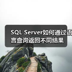 SQL Server如何通过语言查询返回不同结果(图4) SQL Server如何通过语言查询返回不同结果(图4)