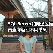 SQL Server如何通过语言查询返回不同结果 - 辰飞雨新媒体情报驿站