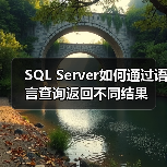 SQL Server如何通过语言查询返回不同结果(图3) SQL Server如何通过语言查询返回不同结果(图3)