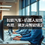 智能汽车+机器人双线布局，黑芝麻智能锚定端侧AI芯片创新(图3)
