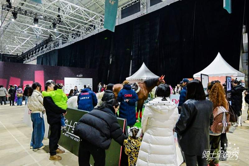 8年超万名孩子登台，这个马术秀竟然让普通孩子变身自信骑士(图18)