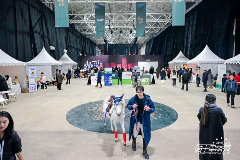 8年超万名孩子登台，这个马术秀竟然让普通孩子变身自信骑士(图15)