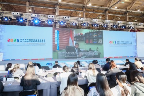 2025百校青年创新创业领袖年会暨上合组织全球青年发展会议(图3)