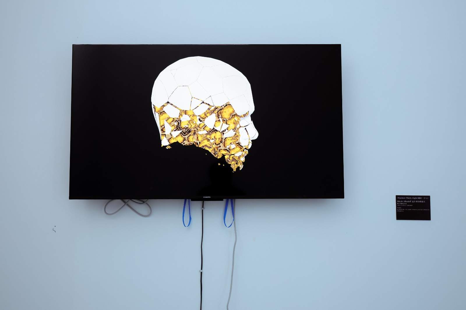 现场｜人类存在何处？人工智能时代，来自“无人之境”的发问(图14)