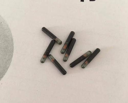 狗晶片（智能科技为你的狗带来全新的安全保障）(图3)